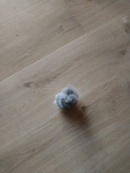 4d4572b2-9e4f-4c46-abbb-29ffe3127138