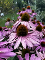 fcf7d734-9998-4240-a304-deef9186782b