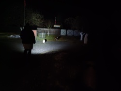 0f20ceb3-6418-4378-84c1-997ffc57f603