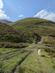 06364087-7b3a-4787-9de8-b025cbe3bbb2