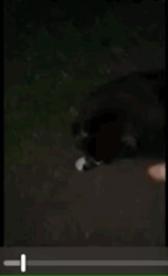 f11bade3-2a42-4434-84ba-fb3f7a206b8b