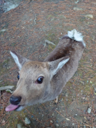 a145fd3e-7109-47c9-81b3-2cc25687b6d1