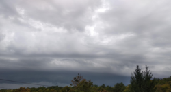 8ff0f1d2-4c02-4753-a70c-ae4e6b046c8f