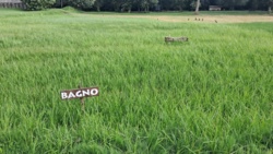 df30d9c8-ae61-45a3-be9c-52cfaf428e29