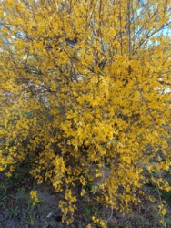 e13dc58e-bae1-4049-b323-bbfc13304953