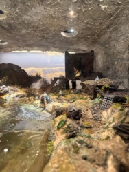 997052e6-49f1-4a80-8166-8938f0a2b87a