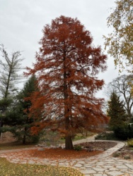 f9f1e1c0-c79e-4373-895e-5f51c097b5d4