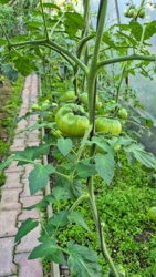 b1c11244-7a36-4e7e-99e5-b594cf58ba43