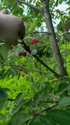 5948d29f-ddc8-49f3-8f51-466003a4e10e