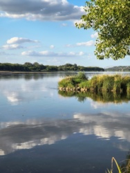 21861739-50d6-4411-bec1-4e56b450cd65