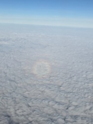 a2446a4c-f2c3-47cb-85c9-9dacfc7575bc