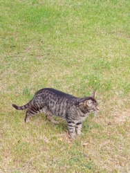 135171f4-c366-4d89-a008-2afa9f624601