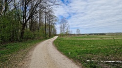 d9894728-3a21-450a-8c6d-963f418f7b28