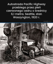 0e55e976-8041-49a5-8478-47ce0413d179