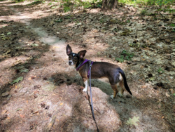 16d12d31-1826-472c-b507-28992bb13955