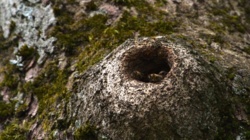 a45016af-f103-4f01-8b55-a9af0070aebe