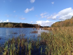 b7cd0a75-e53c-4390-9177-3731c5d30930