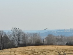 a0623fac-f29d-4dd9-a5ff-33fe6c52acd1