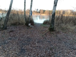 a09ece05-217e-4194-be56-4ab49ac1b550