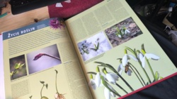 53e74b4b-1ff4-48ff-a087-545d89c81050