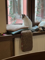 b5b028e5-9fe6-49dd-a319-000a8fcd4e00