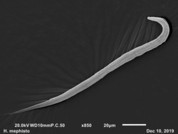 8bfd6b48-3d56-490d-85e6-a7cbe9f07cc2