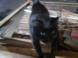 561fae2d-192e-4ab2-a299-a6e10ea39392