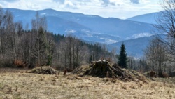 ece76a81-7711-4c69-a9a9-f8a645705177