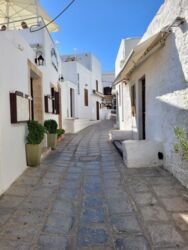 f09e6f72-ebd9-4942-8834-f2c803a34466