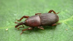 ecbc3753-83ce-42b9-93ae-a12217f8a61d