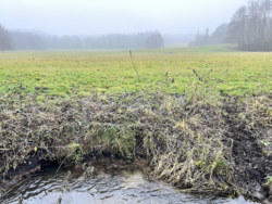 7cf3d14c-cff9-4f84-a3cd-0ecce01aef83