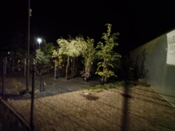 0ad685e6-e485-4fdd-94cc-12f696ebd984