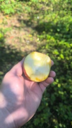 c03eebae-e5cf-40fa-9eaa-ee3bfff7f22d