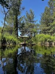 df7f6f85-e9f4-4746-8f36-8603f7d92ee4