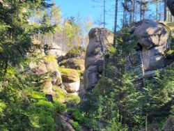 af507b5b-25c3-4253-a08a-843676571ff4