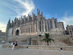 51a1ed86-792b-441a-bd58-45564cbade57