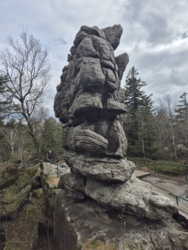 1b3408ac-b28f-4eb7-8333-efcf05f7cbbb