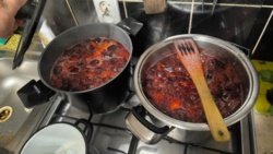 752d5064-176a-451f-869c-6062b7b9446f