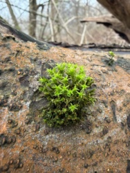 47462cbd-7844-467f-ba50-dc679183d0b4