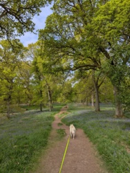 80133ed6-246c-441e-824f-8a94124398e5