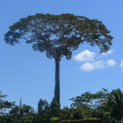 dc02eaba-2428-4d18-88ab-57000fb10d69