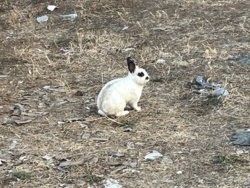 e7e230e8-a764-4457-bef7-c995a22368e7