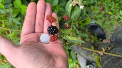 4a0d3763-31cf-47d6-9e4d-6e981392592a