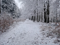 74787ccd-a237-418b-9acf-895e73a61233