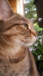 2c982991-b855-4a88-95b0-b757252d8b29