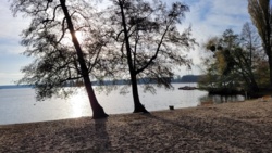 d4d7988a-20aa-4871-ac93-9ff03b15d23d