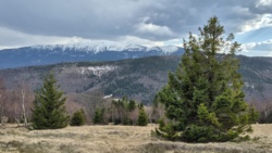 17fce858-5d5a-430c-bca1-f78ebd741d3a