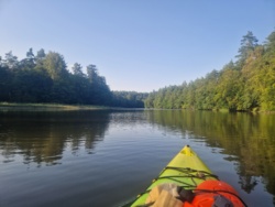 7f799011-4d09-43fc-bf24-4372b5385a50