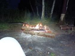 0296ead6-ce31-4fe3-967c-a1b350424b46