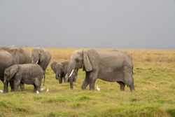 e6d6d626-22f8-4df8-a797-421fb608e6da